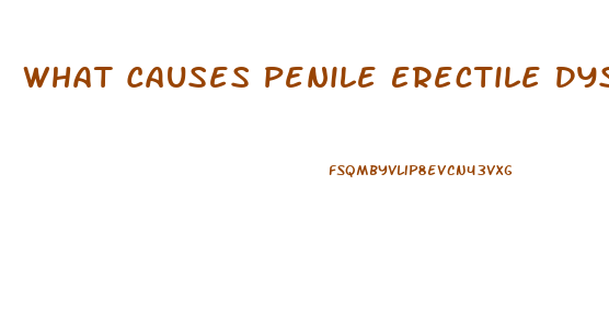 What Causes Penile Erectile Dysfunction