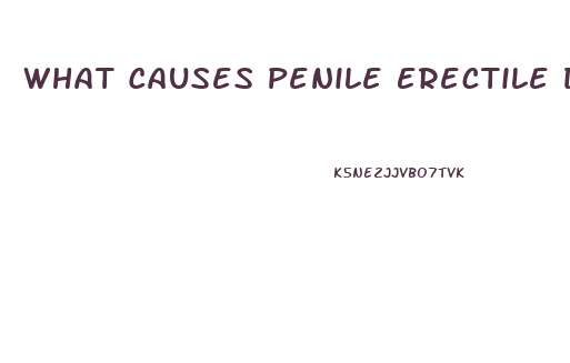 What Causes Penile Erectile Dysfunction