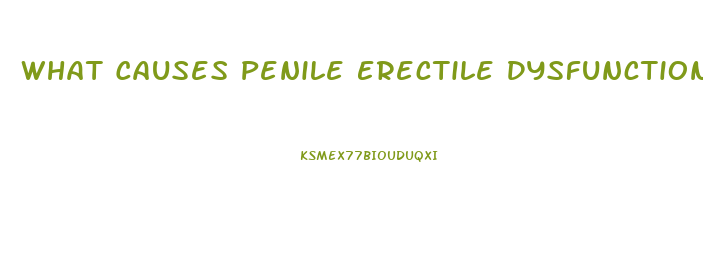 What Causes Penile Erectile Dysfunction