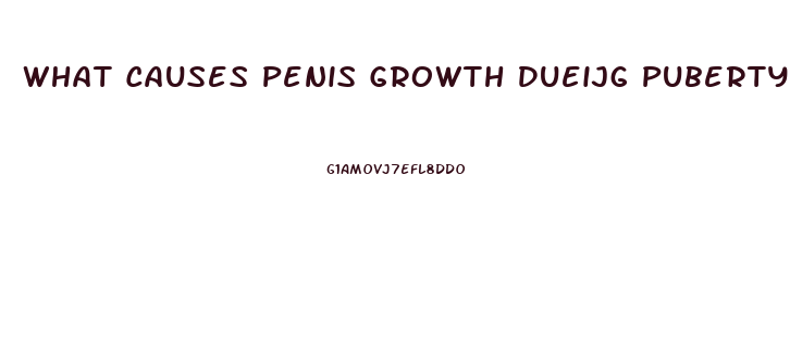 What Causes Penis Growth Dueijg Puberty