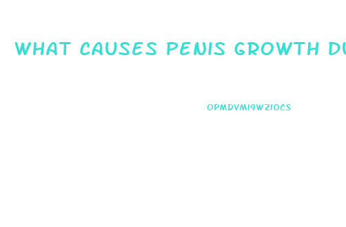 What Causes Penis Growth During Puberty