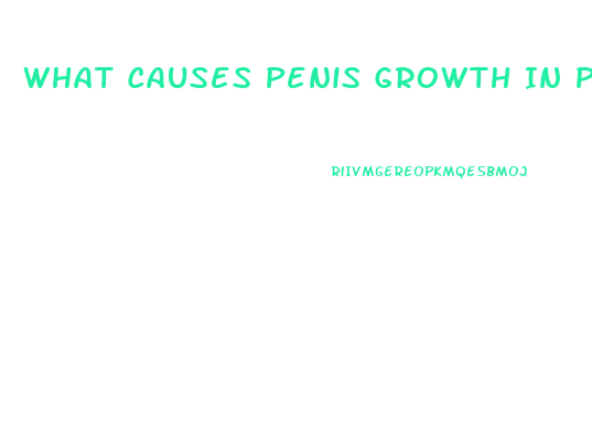 What Causes Penis Growth In Puvberty