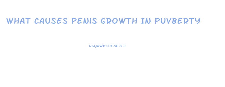 What Causes Penis Growth In Puvberty