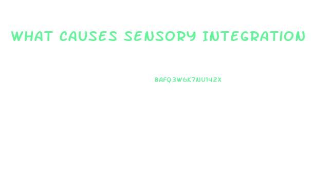 What Causes Sensory Integration Dysfunction