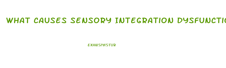 What Causes Sensory Integration Dysfunction