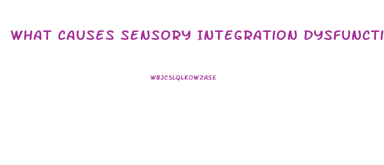 What Causes Sensory Integration Dysfunction