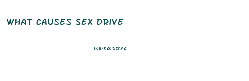 What Causes Sex Drive