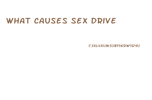 What Causes Sex Drive