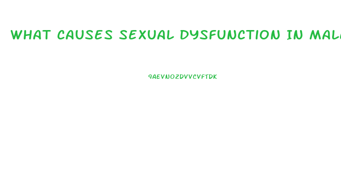 What Causes Sexual Dysfunction In Male