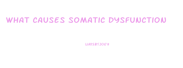 What Causes Somatic Dysfunction