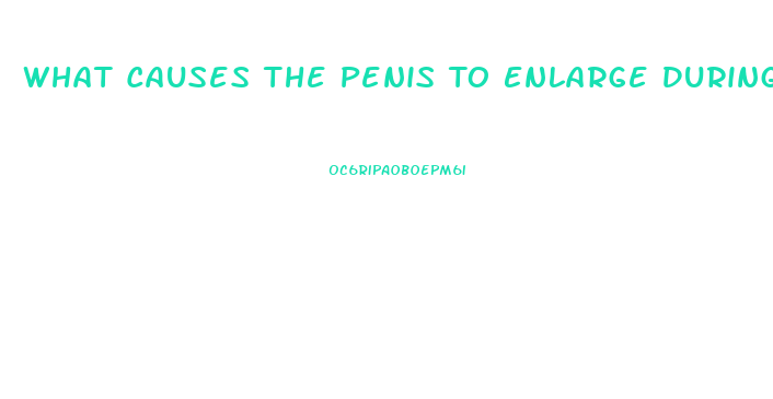 What Causes The Penis To Enlarge During Puberty