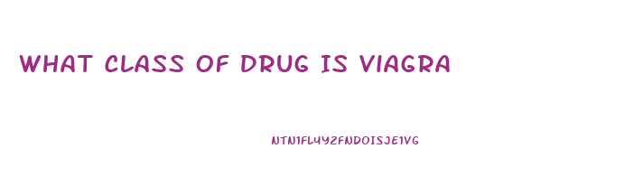 What Class Of Drug Is Viagra