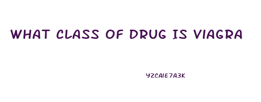 What Class Of Drug Is Viagra