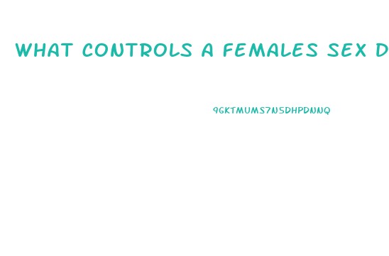 What Controls A Females Sex Drive