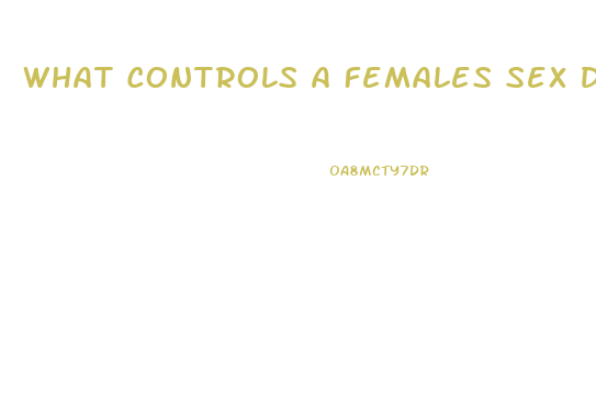 What Controls A Females Sex Drive