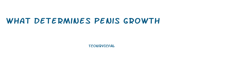 What Determines Penis Growth