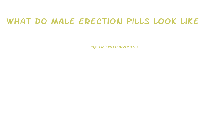 What Do Male Erection Pills Look Like