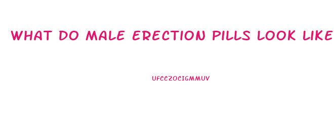 What Do Male Erection Pills Look Like