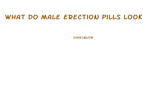 What Do Male Erection Pills Look Like