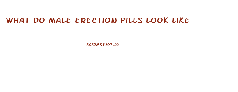 What Do Male Erection Pills Look Like