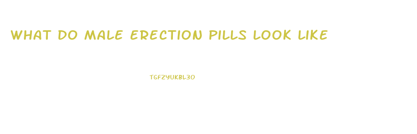 What Do Male Erection Pills Look Like