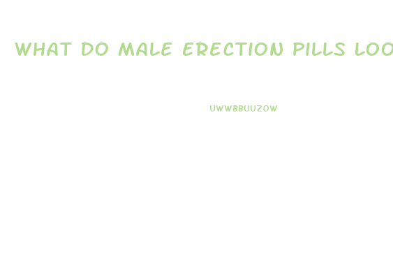 What Do Male Erection Pills Look Like