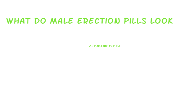 What Do Male Erection Pills Look Like