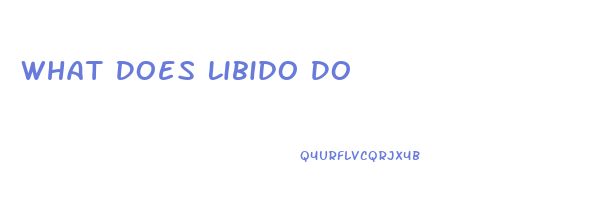 What Does Libido Do