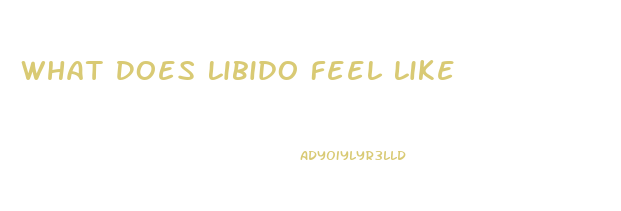 What Does Libido Feel Like