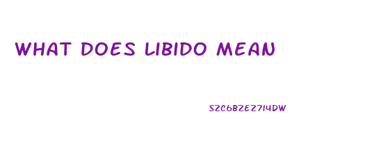 What Does Libido Mean