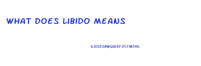 What Does Libido Means
