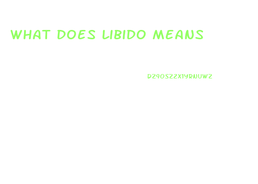 What Does Libido Means