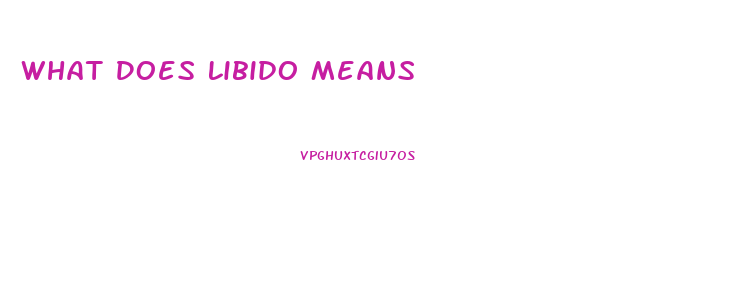 What Does Libido Means