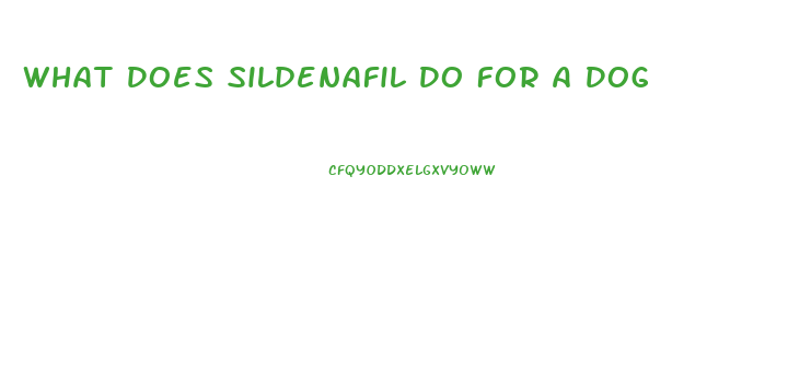 What Does Sildenafil Do For A Dog