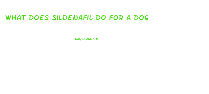 What Does Sildenafil Do For A Dog