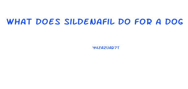 What Does Sildenafil Do For A Dog