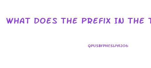 What Does The Prefix In The Term Dysfunction Mean