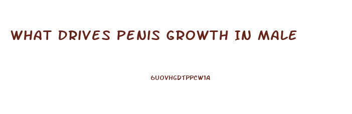What Drives Penis Growth In Male