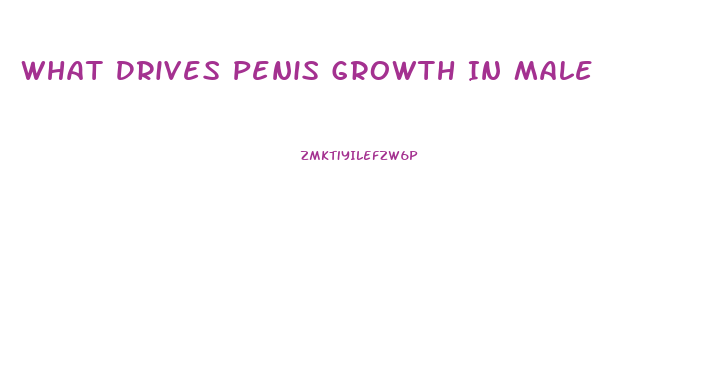 What Drives Penis Growth In Male