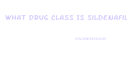 What Drug Class Is Sildenafil