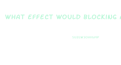 What Effect Would Blocking Aromatase Have On Male Sex Drive