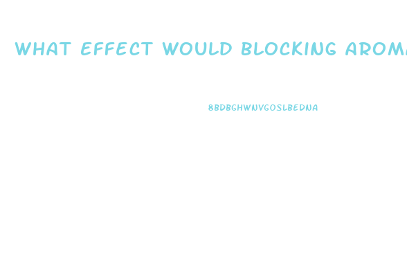 What Effect Would Blocking Aromatase Have On Male Sex Drive