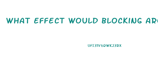 What Effect Would Blocking Aromatase Have On Male Sex Drive