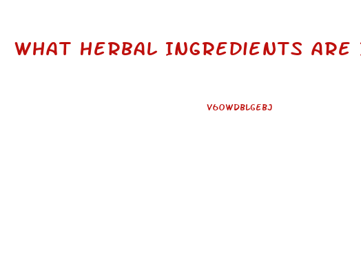What Herbal Ingredients Are In Male Enhancement Pills