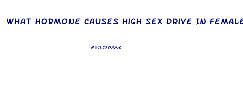 What Hormone Causes High Sex Drive In Females
