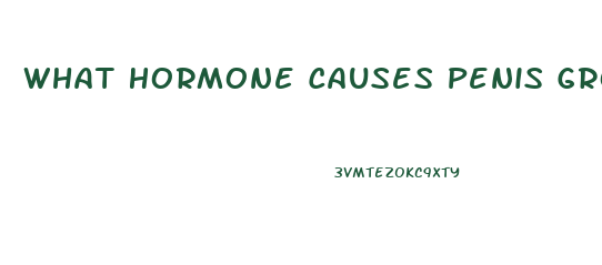 What Hormone Causes Penis Growth