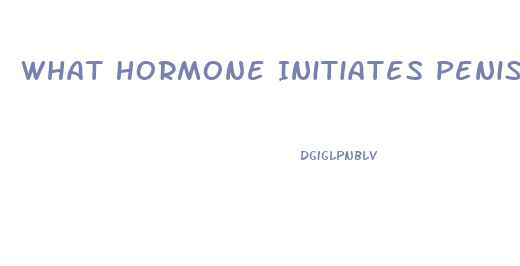 What Hormone Initiates Penis Growth And Height Growth During Puberty