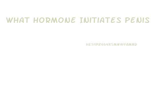 What Hormone Initiates Penis Growth And Height Growth During Puberty