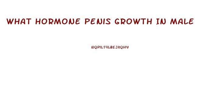 What Hormone Penis Growth In Male