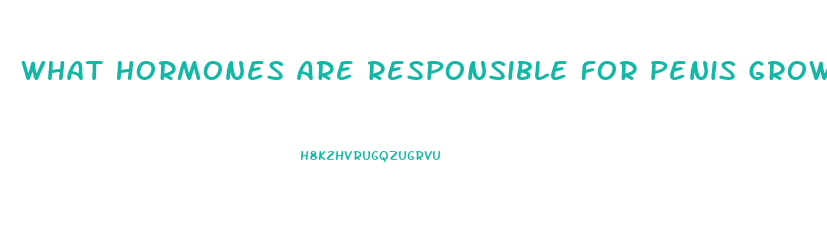 What Hormones Are Responsible For Penis Growth